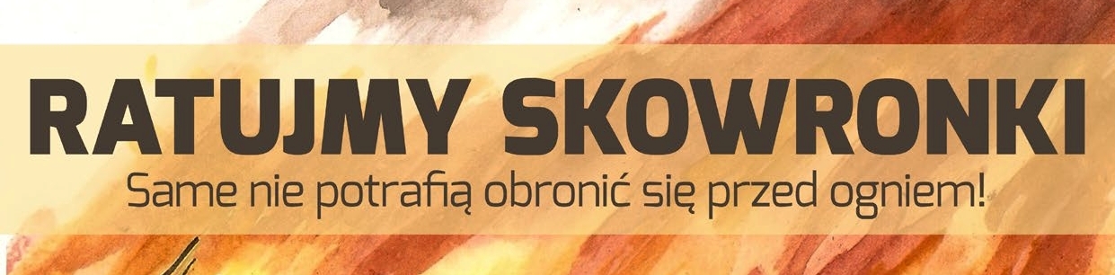 rdlp_plakat_08_ratujmy-skowronki-baner