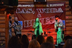 XI Ogólnopolski Festiwal Bluesowy Las, Woda & Blues