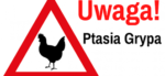 Uwaga – obecność wirusa zjadliwej grypy ptaków na terenie Powiatu Wschowskiego!