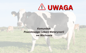 Uwaga! Zagrożenie pryszczycą – ważne informacje!