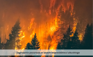 Zagrożenie pożarowe w lasach województwa lubuskiego