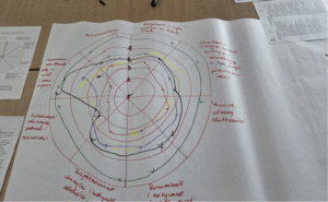 Specjalny Ośrodek Szkolno-Wychowawczy we Wschowie w projekcie „Kariera bez barier”
