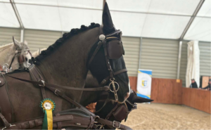 Finał Halowego Pucharu Ranczo Rubin 14.03.2026 r.