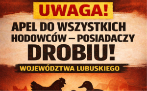 APEL DO WSZYSTKICH HODOWCÓW – POSIADACZY DROBIU!