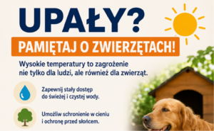 Wysokie temperatury to zagrożenie nie tylko dla ludzi, ale również dla zwierząt.