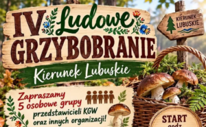IV Ludowe Grzybobranie „Kierunek Lubuskie” już coraz bliżej