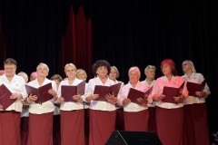 15-lecie-Akademii-Doroslego-Czlowieka-w-Slawie-59