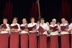 15-lecie-Akademii-Doroslego-Czlowieka-w-Slawie-60