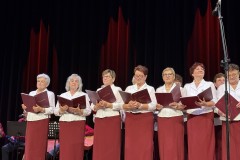 15-lecie-Akademii-Doroslego-Czlowieka-w-Slawie-61