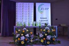 Uroczystość z okazji 25-lecia Związku Lubuskich Organizacji Pozarządowych