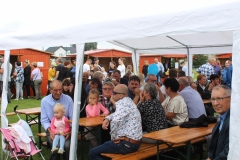 Powiatowo-Gminne Święto Plonów w Łupicy