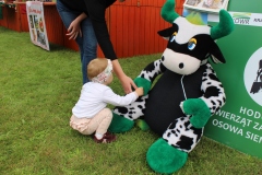 Powiatowo-Gminne Święto Plonów w Łupicy