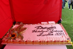 Powiatowo-Gminne Święto Plonów w Łupicy