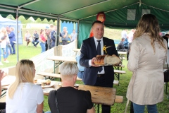 Powiatowo-Gminne Święto Plonów w Łupicy