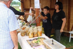 Powiatowo-Gminne Święto Plonów w Łupicy