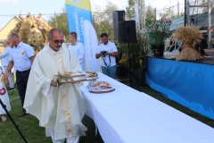 Przekazanie darów na stół dożynkowy