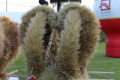 Zwycięski Wieniec Sołectwa Stare Drzewce