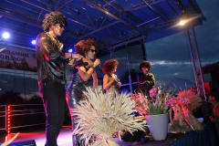 Występ zespołu Abba & Boney M. Tribute Band