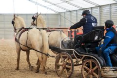 640127004_122159167370901153_5349460620238189736_n