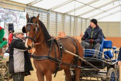 641419114_122159166944901153_2252240013220903404_n