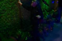 597025621_1319518136881258_4182802382536507654_n