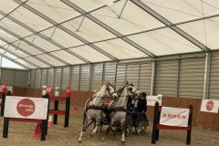 Halowy-Puchar-Ranczo-Rubin-final-14.03.2026-r.-14