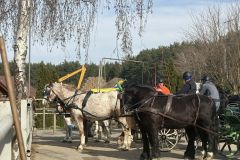 Halowy-Puchar-Ranczo-Rubin-final-14.03.2026-r.-15