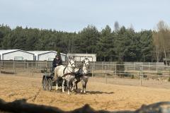 Halowy-Puchar-Ranczo-Rubin-final-14.03.2026-r.-18