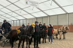 Halowy-Puchar-Ranczo-Rubin-final-14.03.2026-r.-20