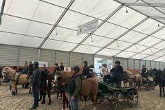 Halowy-Puchar-Ranczo-Rubin-final-14.03.2026-r.-21