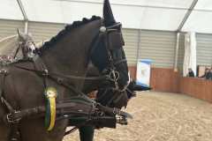 Halowy-Puchar-Ranczo-Rubin-final-14.03.2026-r.-23