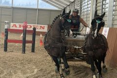 Halowy-Puchar-Ranczo-Rubin-final-14.03.2026-r.-25