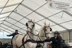 Halowy-Puchar-Ranczo-Rubin-final-14.03.2026-r.-34