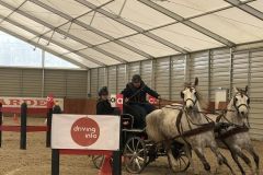 Halowy-Puchar-Ranczo-Rubin-final-14.03.2026-r.-35