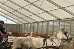 Halowy-Puchar-Ranczo-Rubin-final-14.03.2026-r.-38