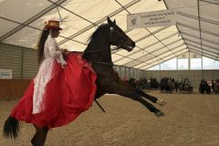 Halowy-Puchar-Ranczo-Rubin-final-14.03.2026-r.-41