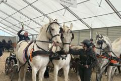 Halowy-Puchar-Ranczo-Rubin-final-14.03.2026-r.-43