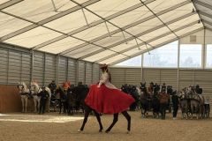 Halowy-Puchar-Ranczo-Rubin-final-14.03.2026-r.-49