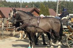 Halowy-Puchar-Ranczo-Rubin-final-14.03.2026-r.-52