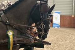 Halowy-Puchar-Ranczo-Rubin-final-14.03.2026-r.-55