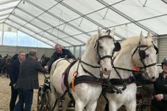 Halowy-Puchar-Ranczo-Rubin-final-14.03.2026-r.-67