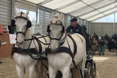 Halowy-Puchar-Ranczo-Rubin-final-14.03.2026-r.-77