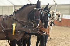 Halowy-Puchar-Ranczo-Rubin-final-14.03.2026-r.-81