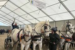 Halowy-Puchar-Ranczo-Rubin-final-14.03.2026-r.-85