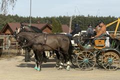 Halowy-Puchar-Ranczo-Rubin-final-14.03.2026-r.-87