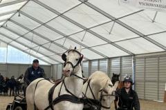 Halowy-Puchar-Ranczo-Rubin-final-14.03.2026-r.-88