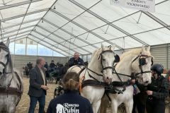 Halowy-Puchar-Ranczo-Rubin-final-14.03.2026-r.-89