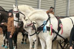 Halowy-Puchar-Ranczo-Rubin-final-14.03.2026-r.-90