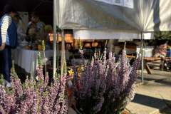 III-Ludowe-Grzybobranie-27.09.2025-r.-24