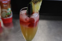 Kurs-barmanski-w-IZS-14